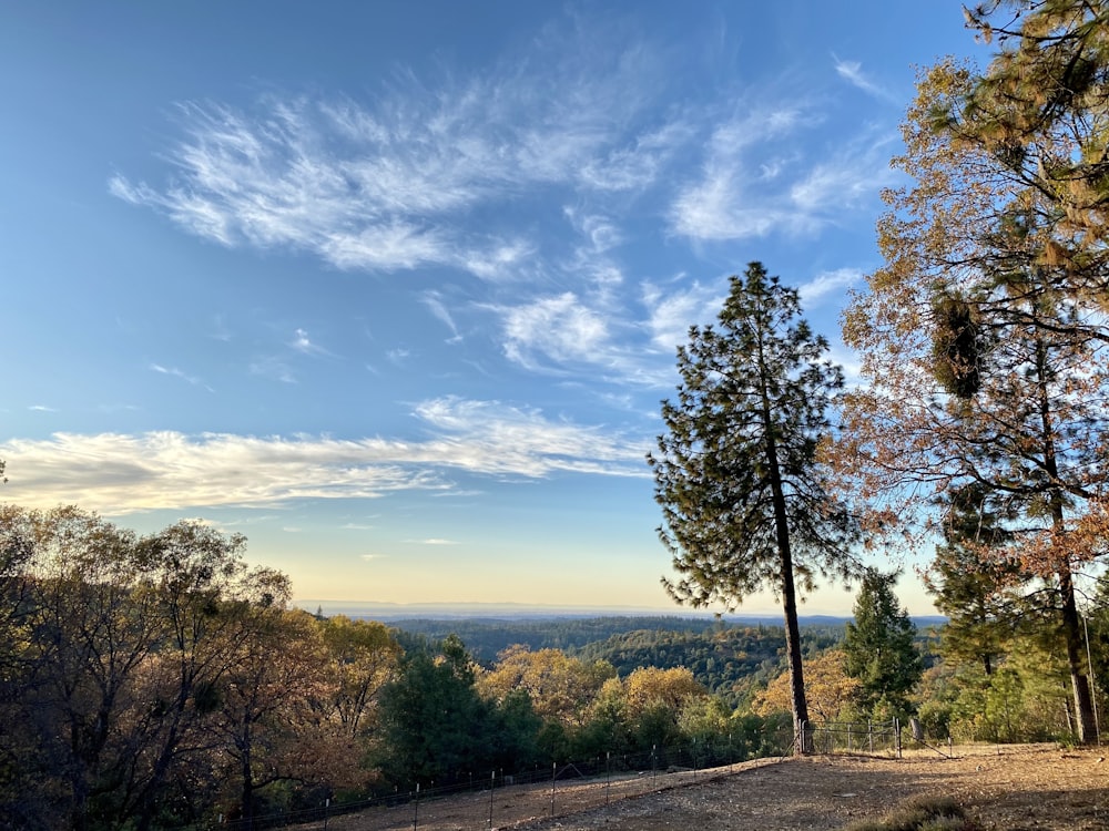 a scenic view of trees and a blue sky