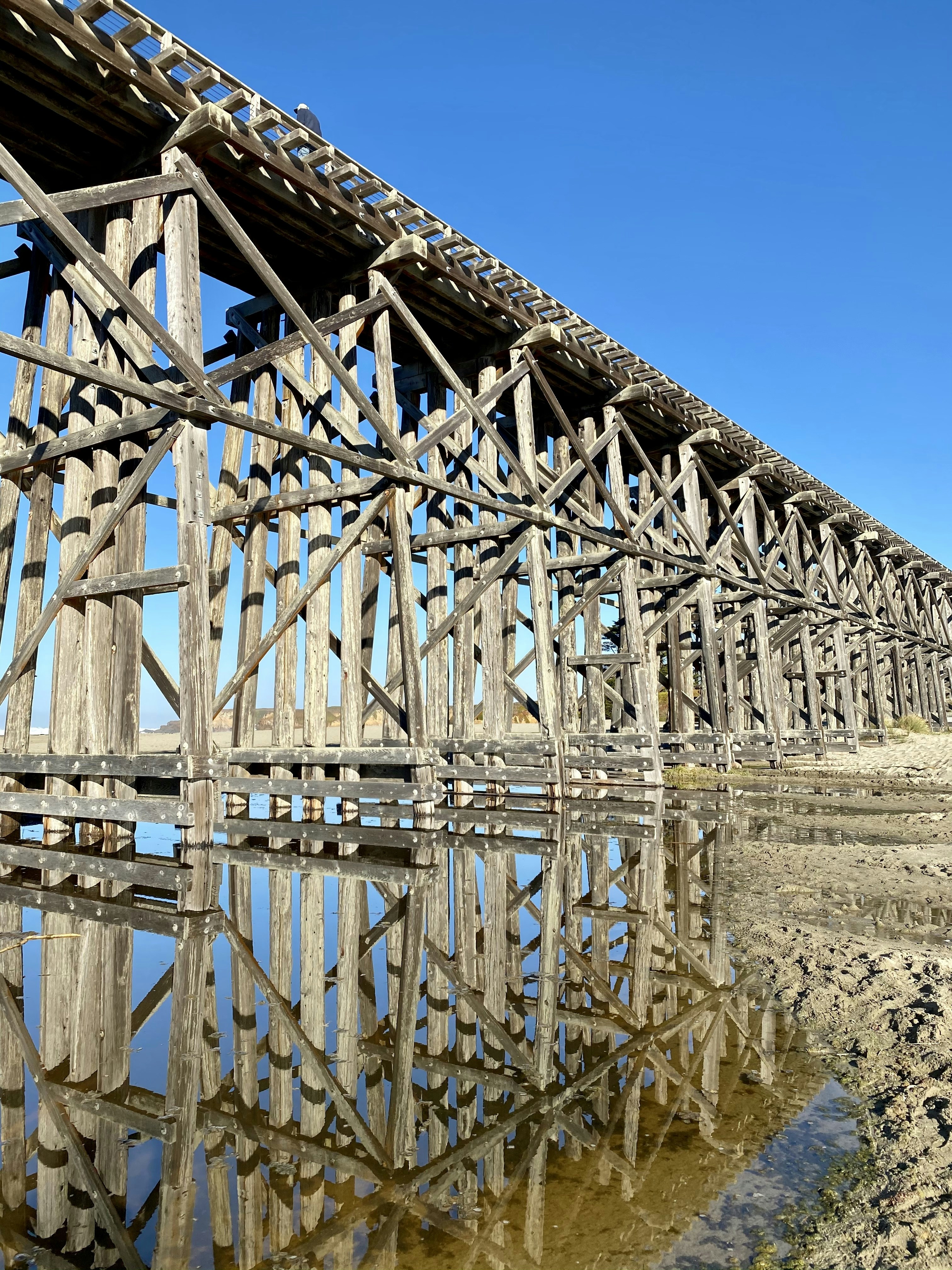 Eine Holzbrücke spiegelt sich im Wasser