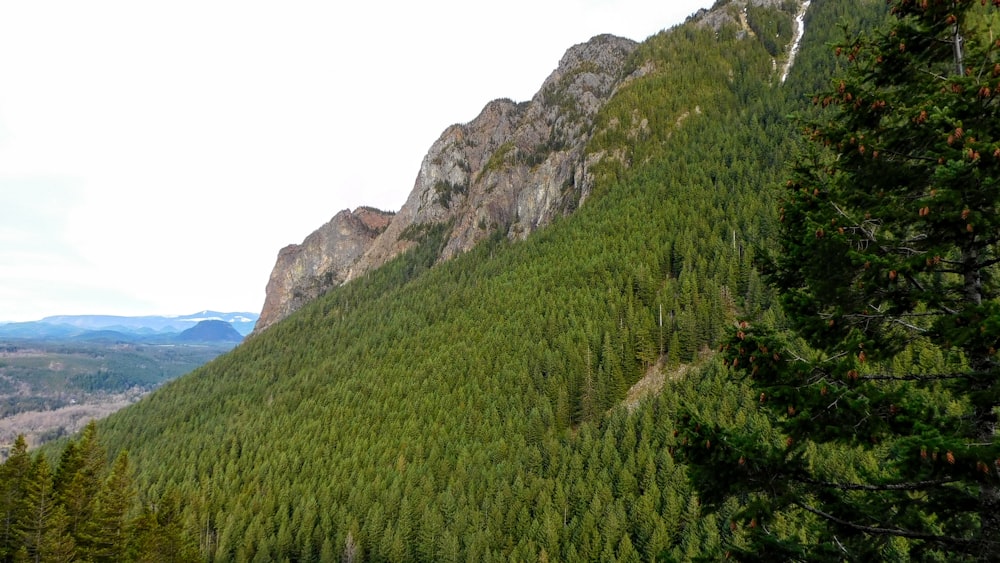 una vista di una montagna con alberi e montagne sullo sfondo