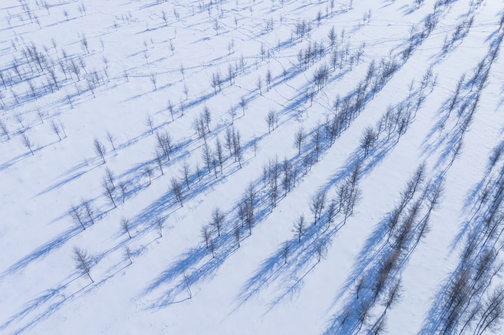 Luftaufnahme eines schneebedeckten Feldes