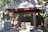 A traditional Japanese purification pavilion stands in a serene forest setting. The structure features a wooden roof supported by four posts, with a stone water basin beneath, used for ritual cleansing. Stone monuments and lanterns surround the area, partially covered by the shadows of nearby trees. Sunlight filters through the canopy, creating a peaceful, dappled light effect.