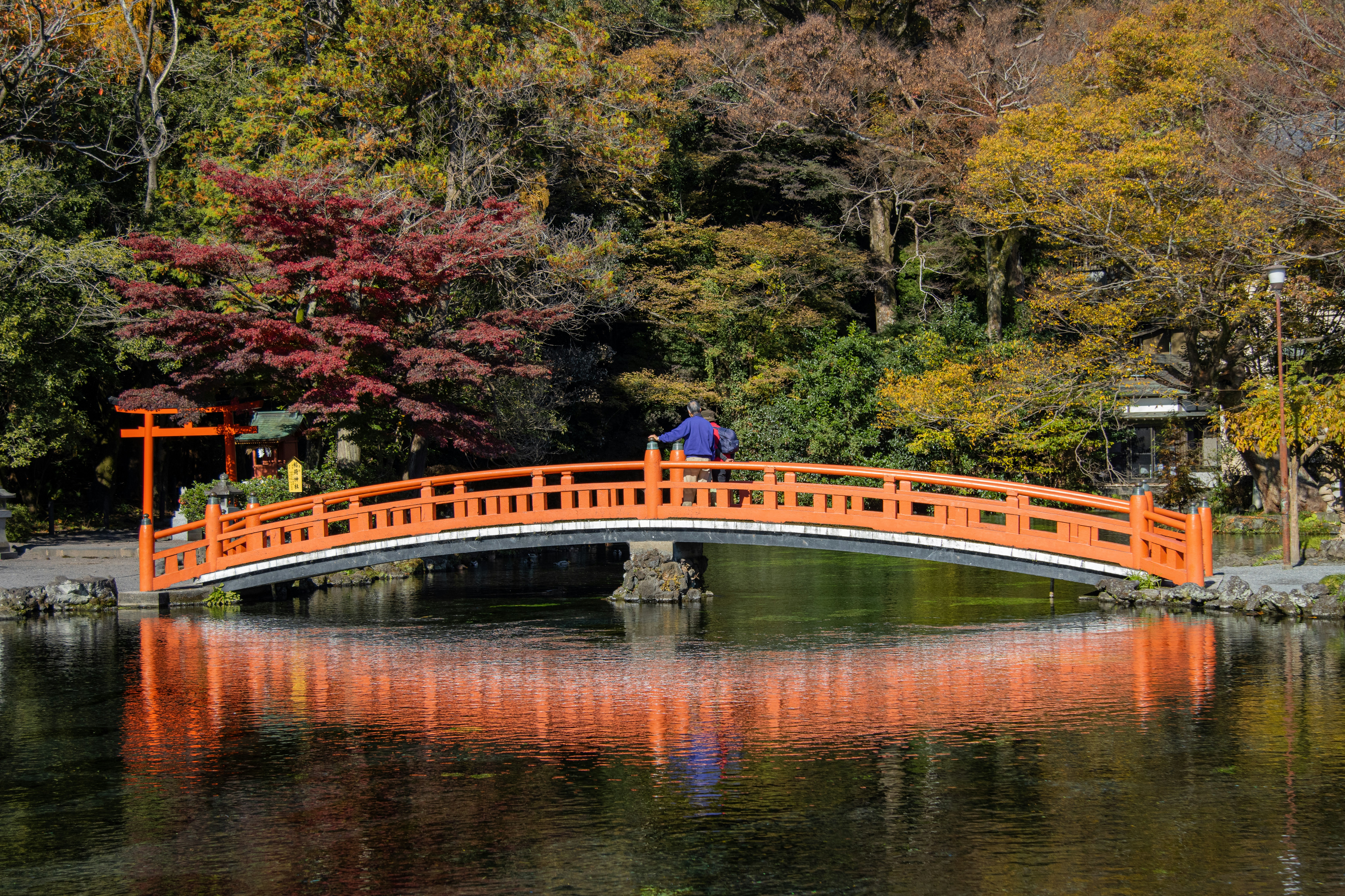 Photo by hitthetrailjack