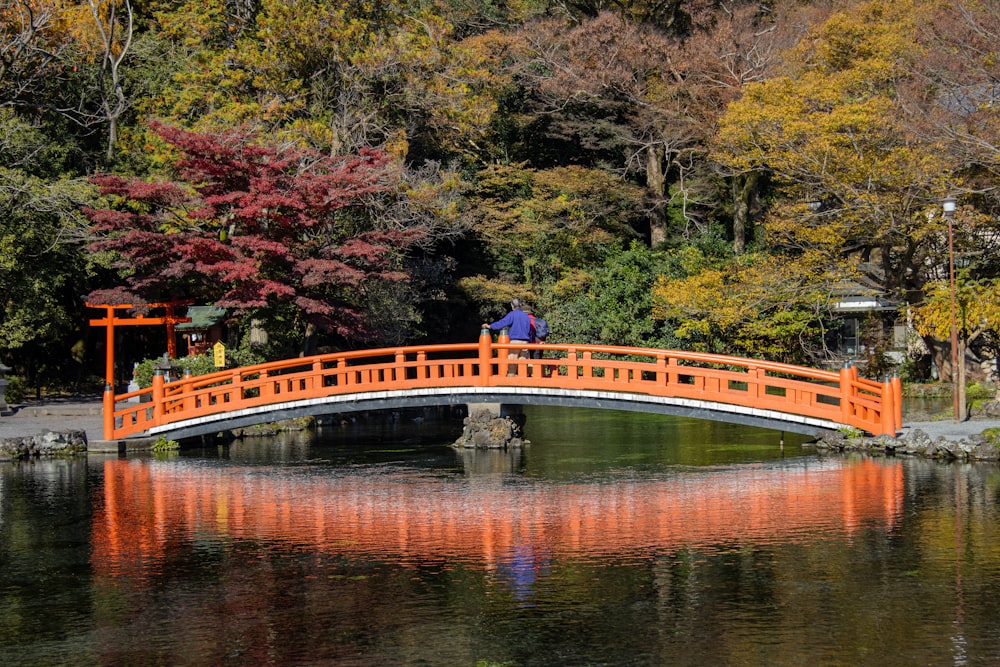 a person standing on a bridge over a pond