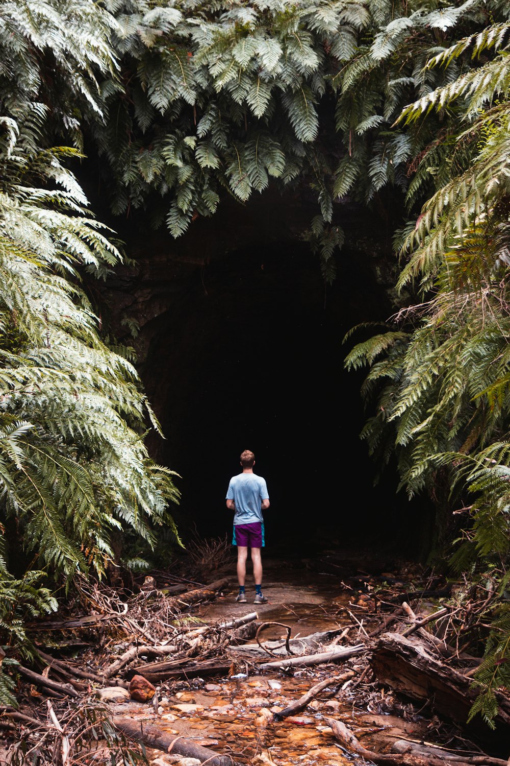 a man standing in the middle of a forest