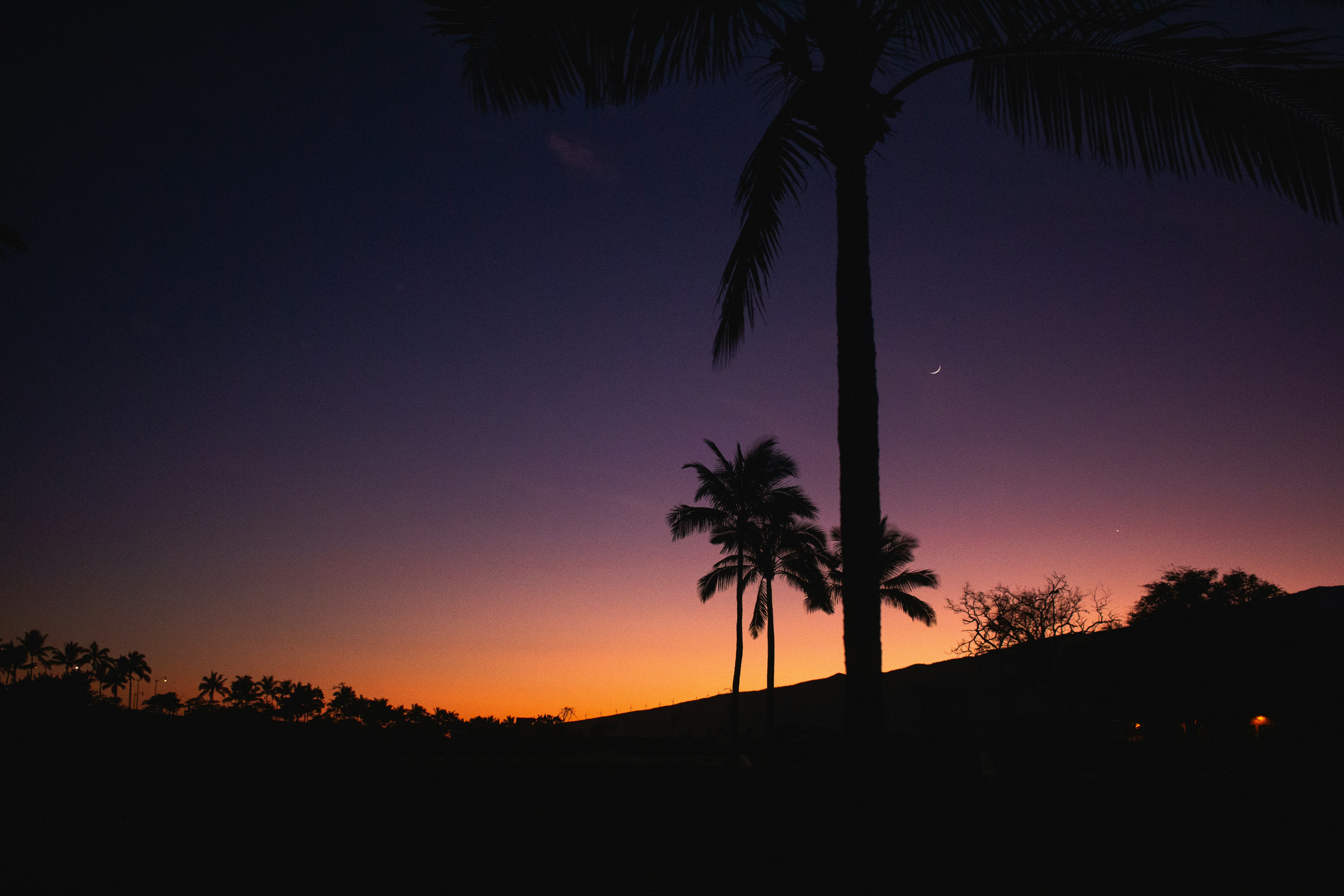 Photo by davidschultz