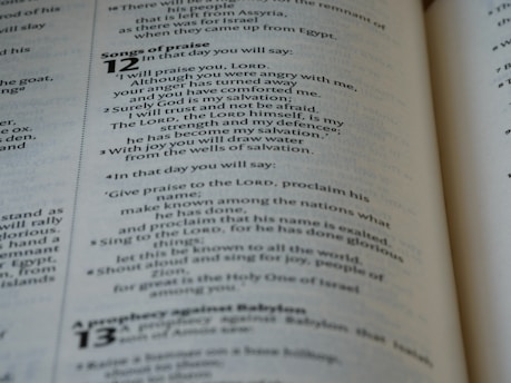 A close-up of a page from a book displaying text related to 'Songs of Praise' in chapter 12. The text is clearly printed and arranged in paragraphs, with numbers indicating verses or sections. The page appears to have a slightly yellowed hue, suggesting age or use. The text is in English and the font appears classic and serifed.