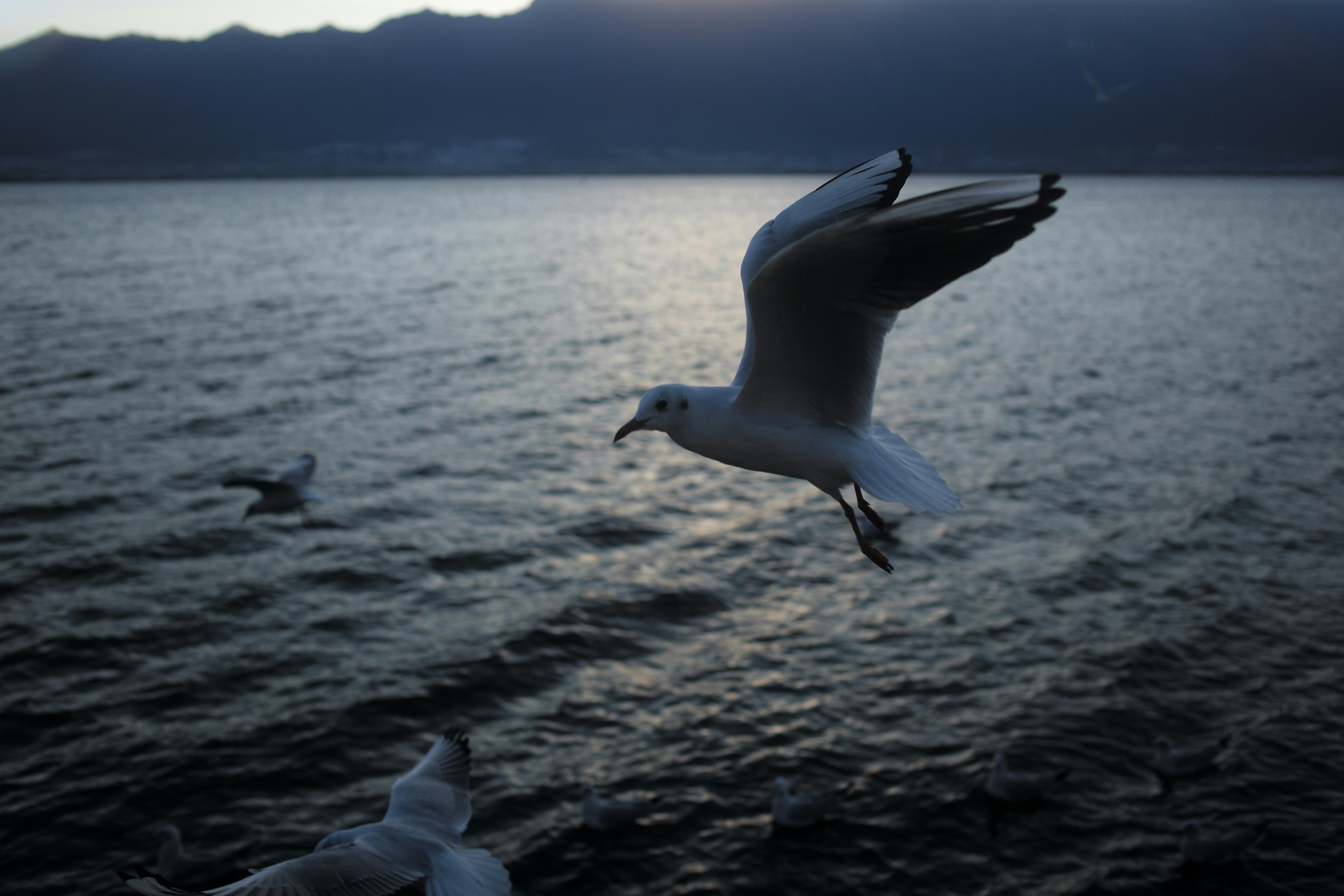 Photo by onice