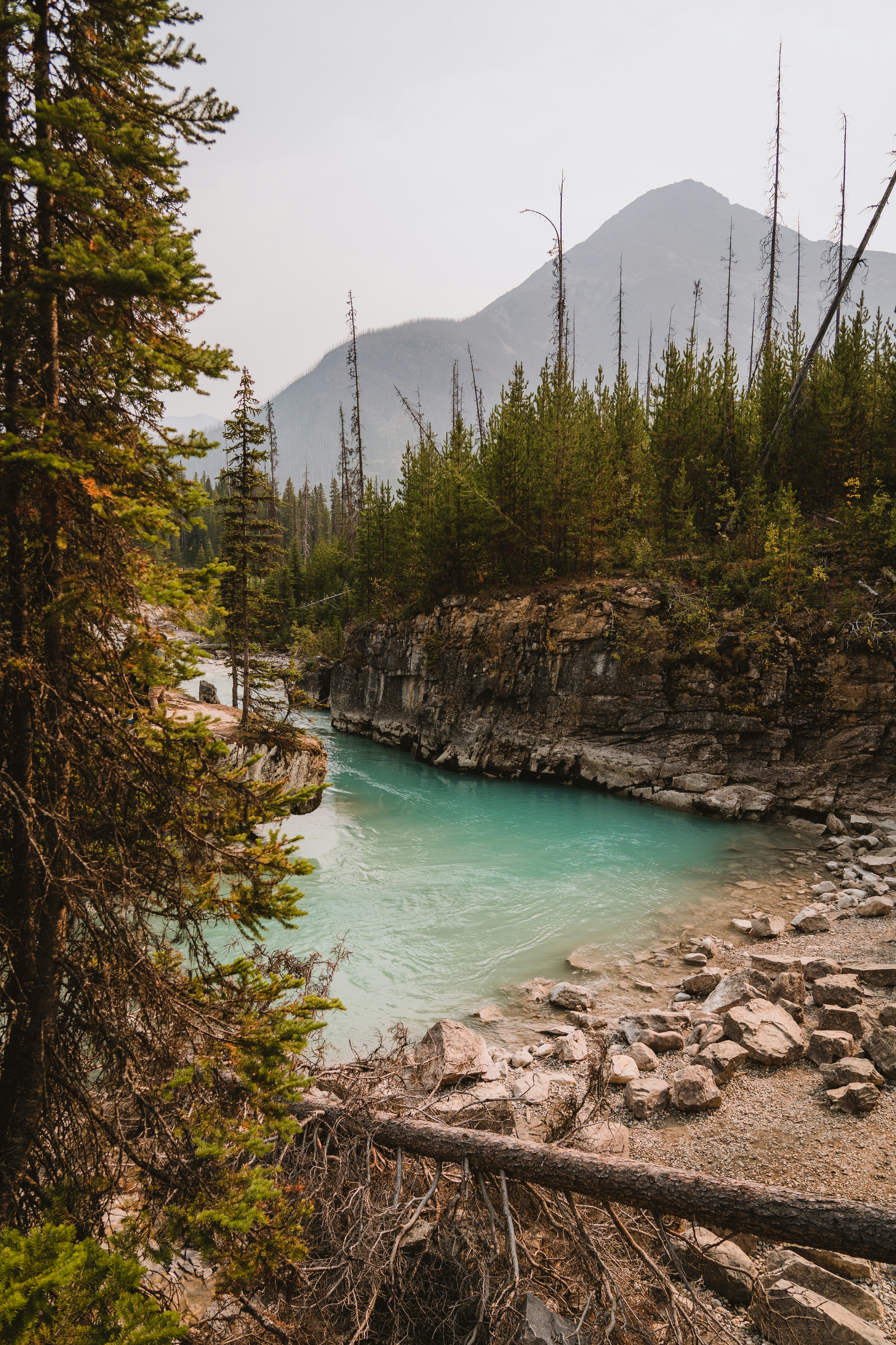 Photo by danny_jongerius