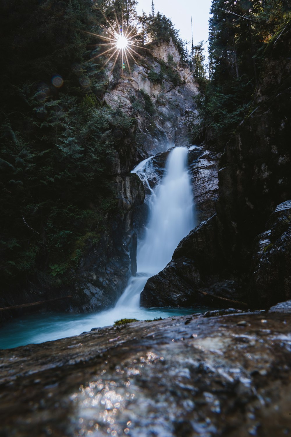 a large waterfall in the middle of a forest