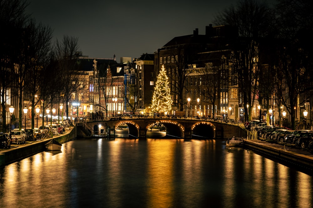 a lighted christmas tree on a bridge over a river