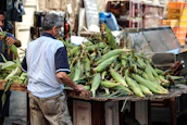 A man, seen from the back, is handling a large pile of corn on a wooden stall or table in a market setting. He is wearing a light blue shirt with dark sleeves and beige pants. The scene appears busy, with various items and structures in the background, including some metal and plastic items, highlighting the market atmosphere.