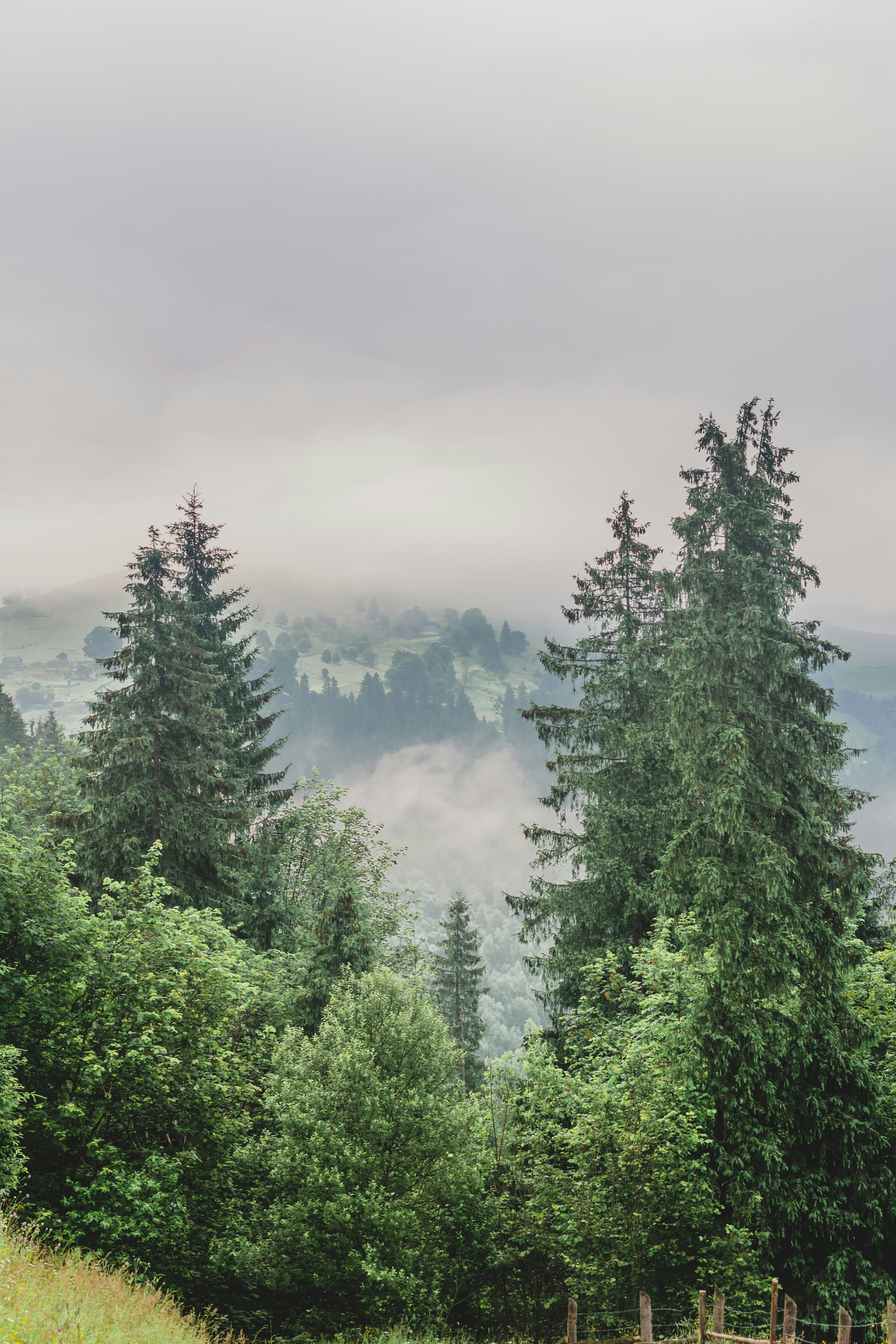 Photo by eugenivy_now