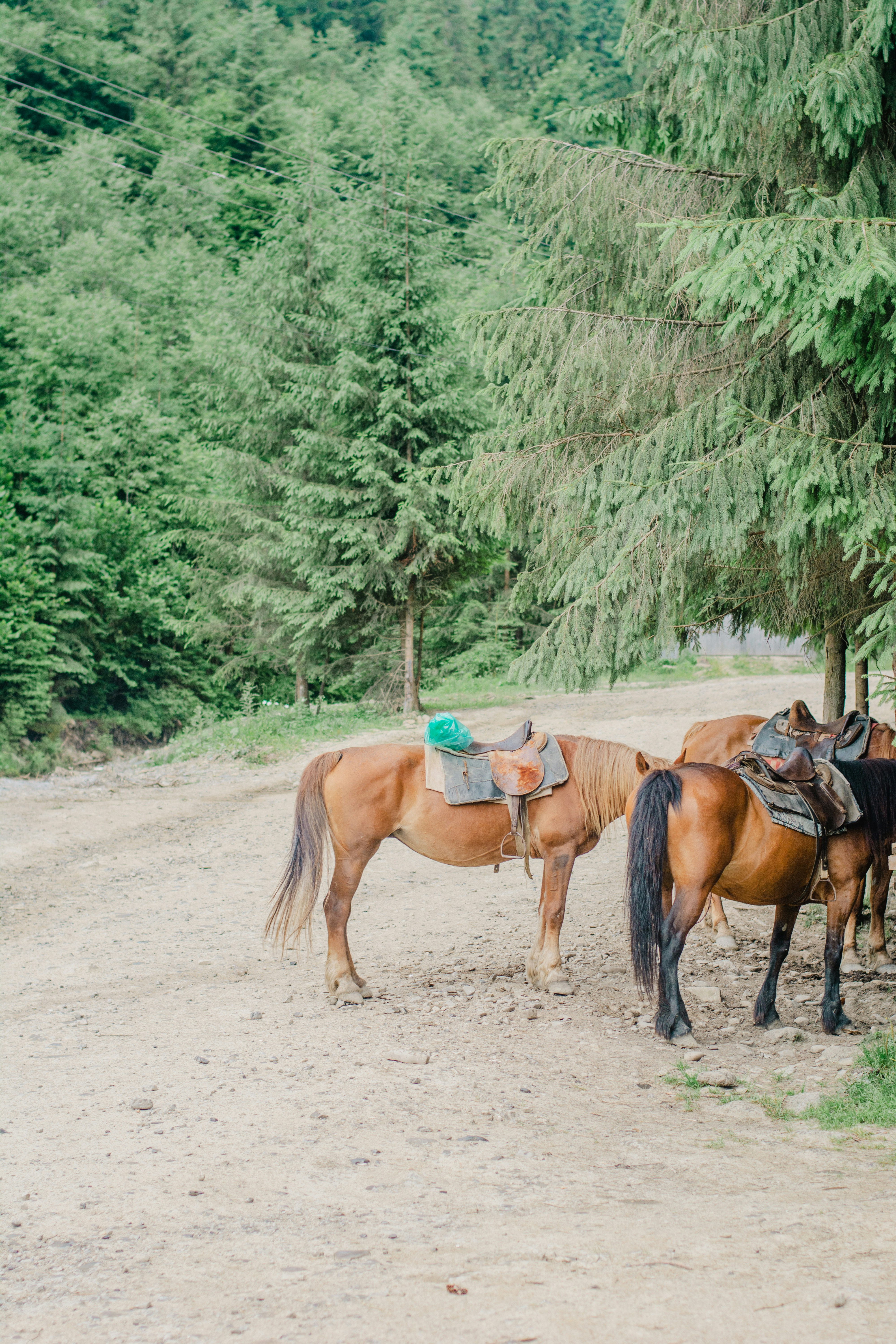 Photo by eugenivy_now