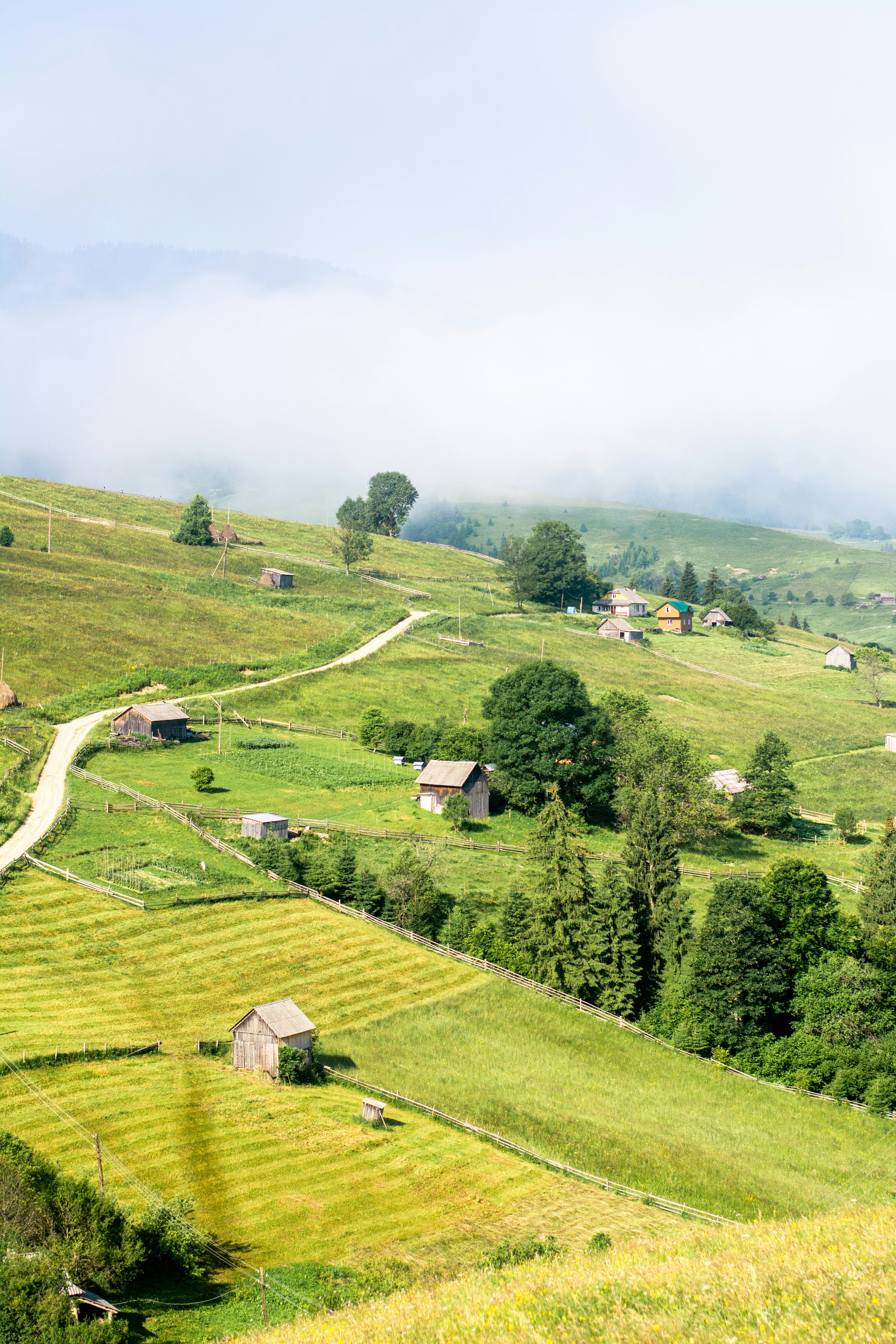 Photo by eugenivy_now