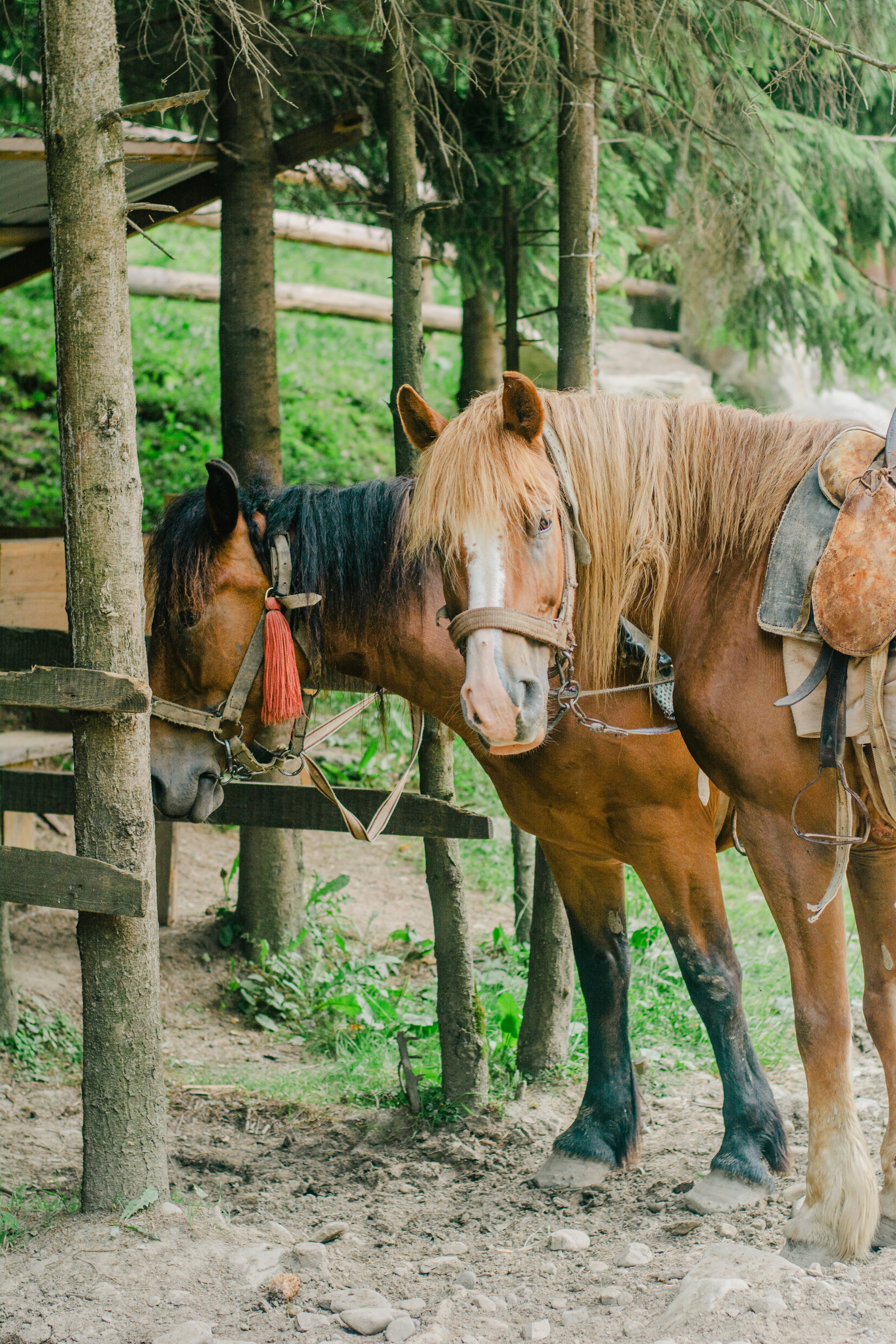 Photo by eugenivy_now