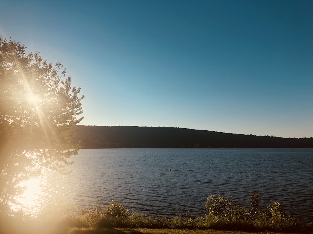 the sun shines brightly on the water of a lake