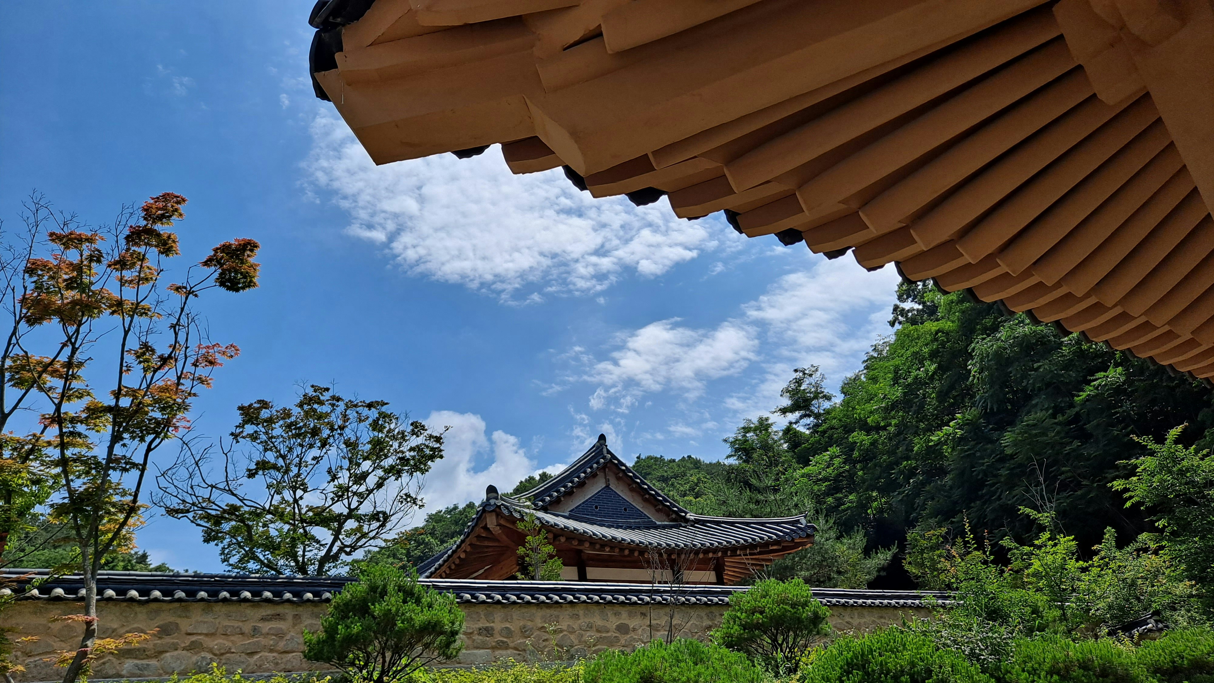 Photo by osakadoc