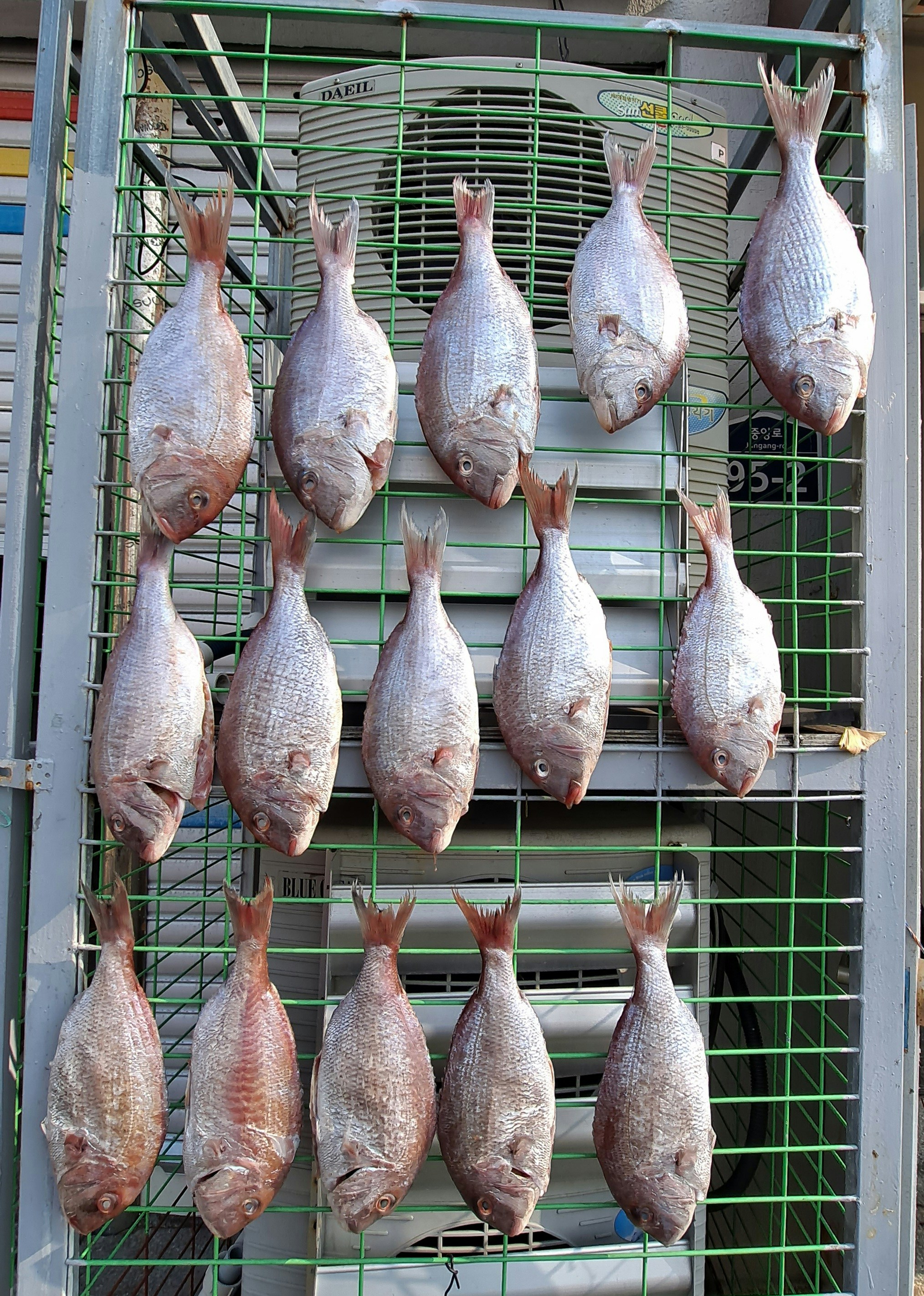 photo-1672833674279-a7bfd2c3814b?ixid=M3wxMjA3fDB8MXxzZWFyY2h8Nnx8Y3JvY2twb3QlMjBjaGlja2VuJTIwYnJlYXN0cyUyMHJlY2lwZXN8ZW58MHx8fHwxNzY2MDIyNzQ5fDA\u0026ixlib=rb-4.1.0