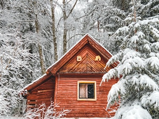 a cabin in the woods with snow on the ground