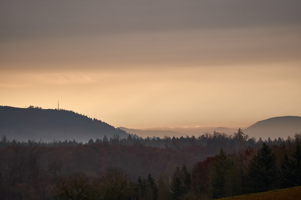 a view of a mountain range with trees in the foreground