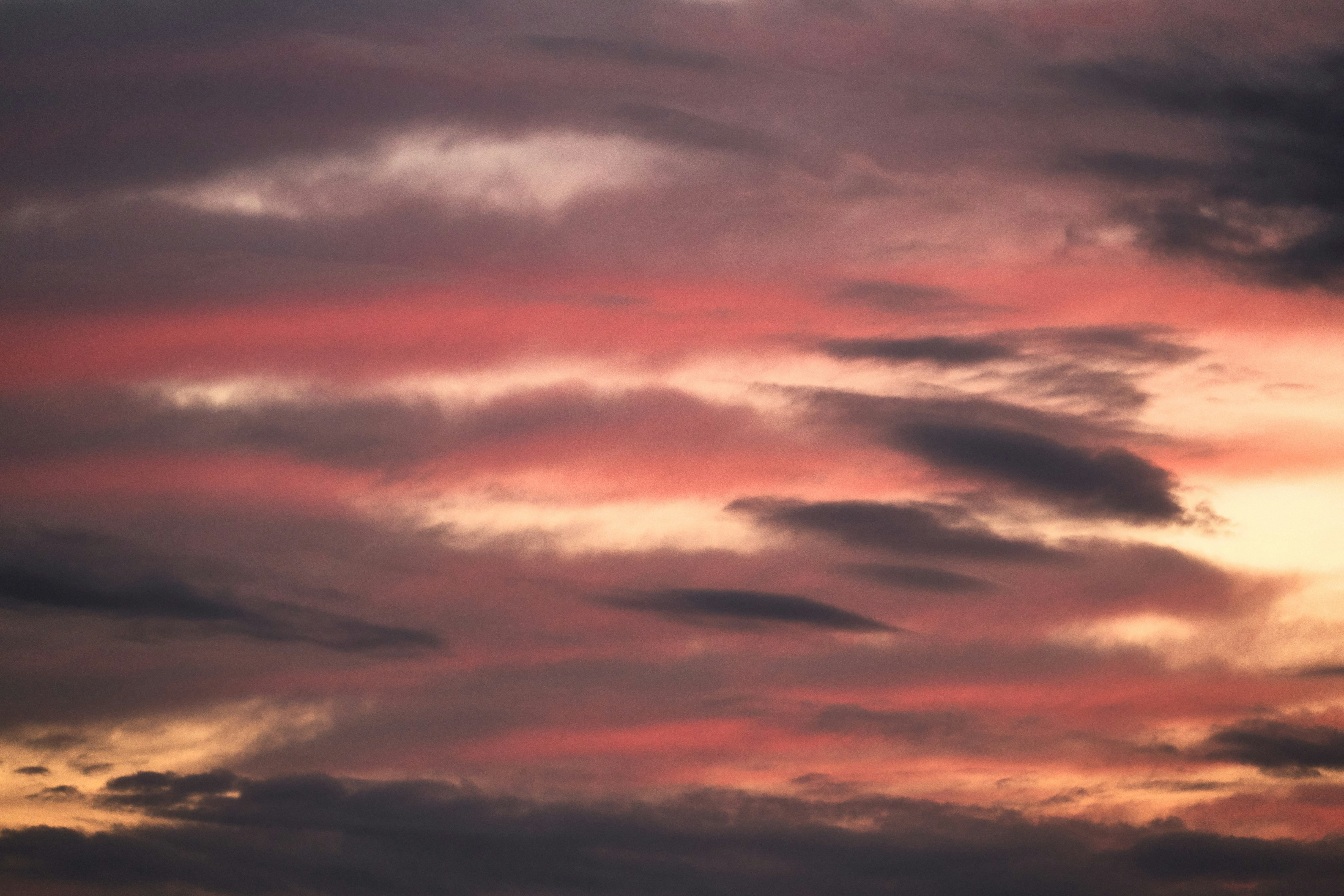 Photo by wolfgang_hasselmann