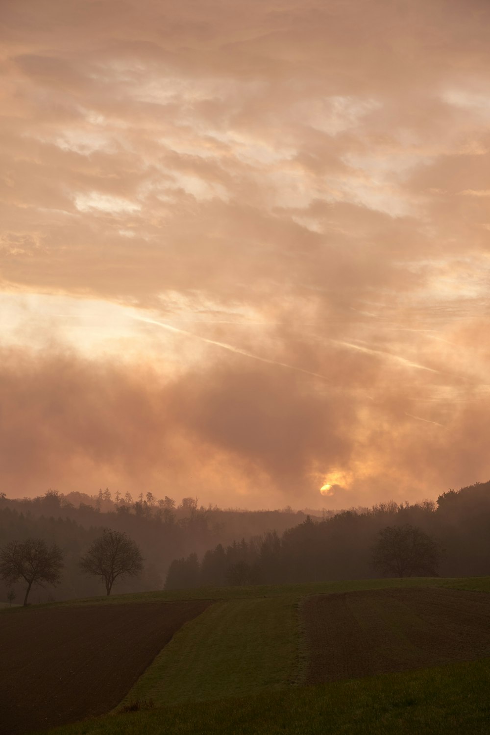 the sun is setting over a field with trees