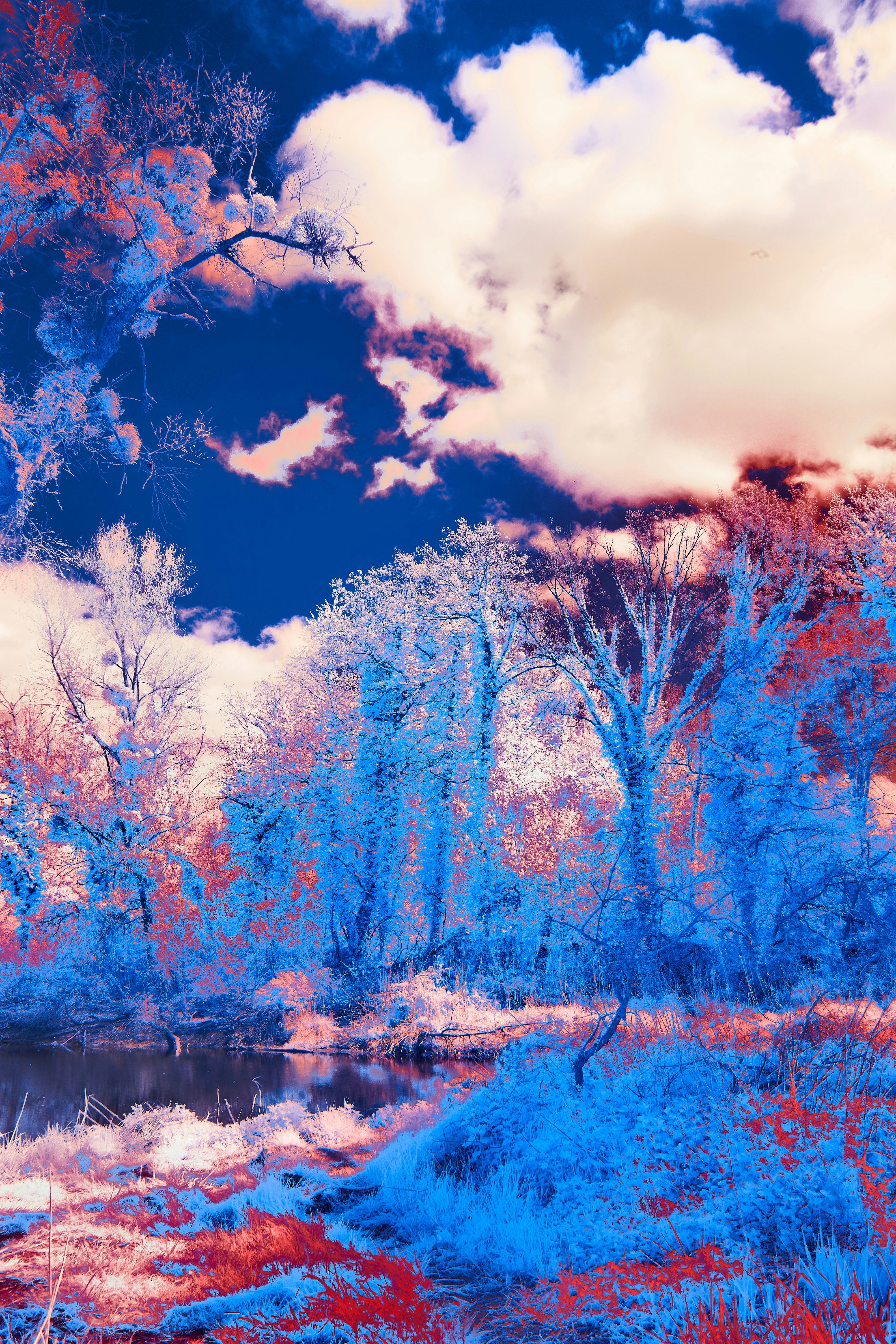 a painting of a river surrounded by trees