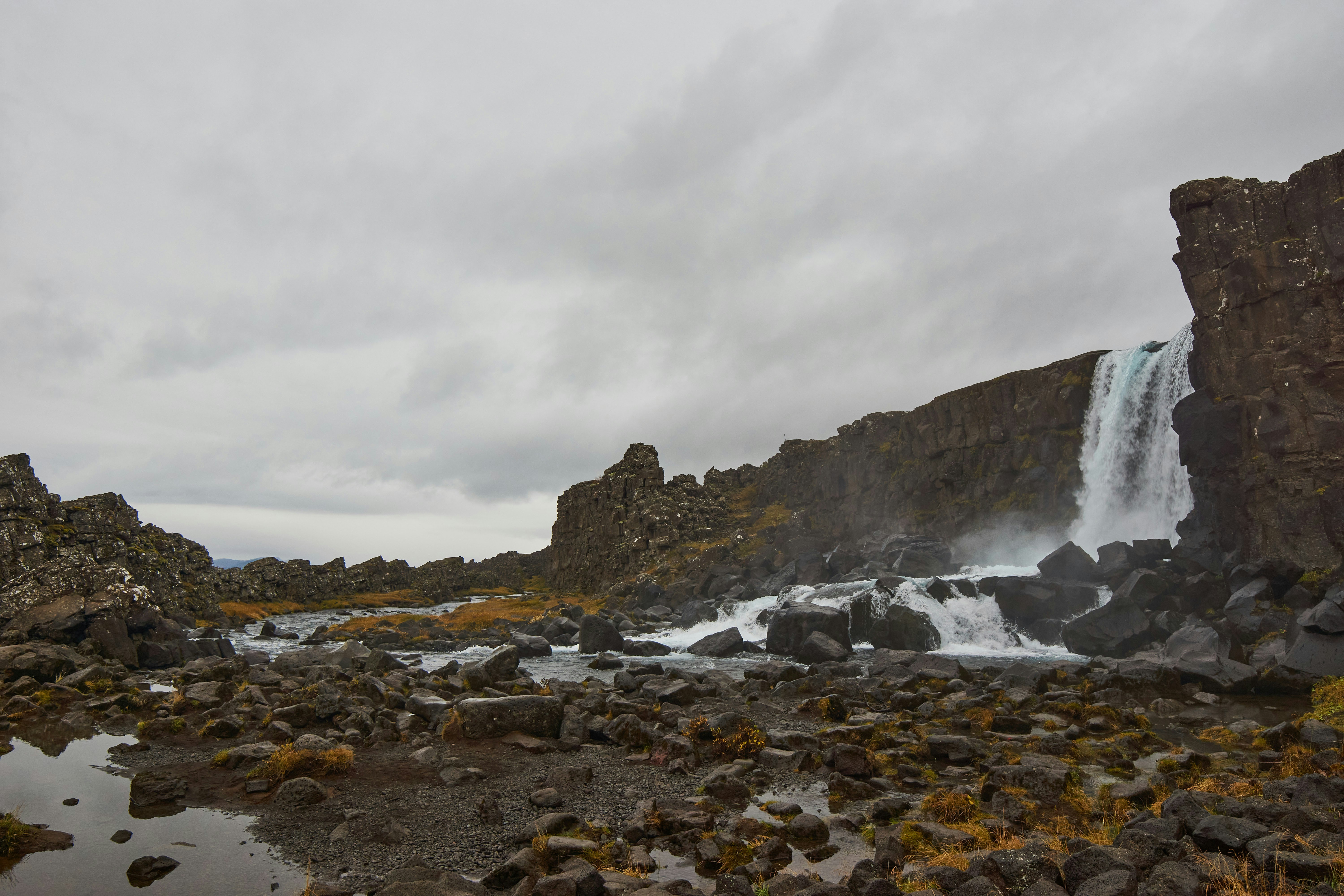 Photo by wolfgang_hasselmann