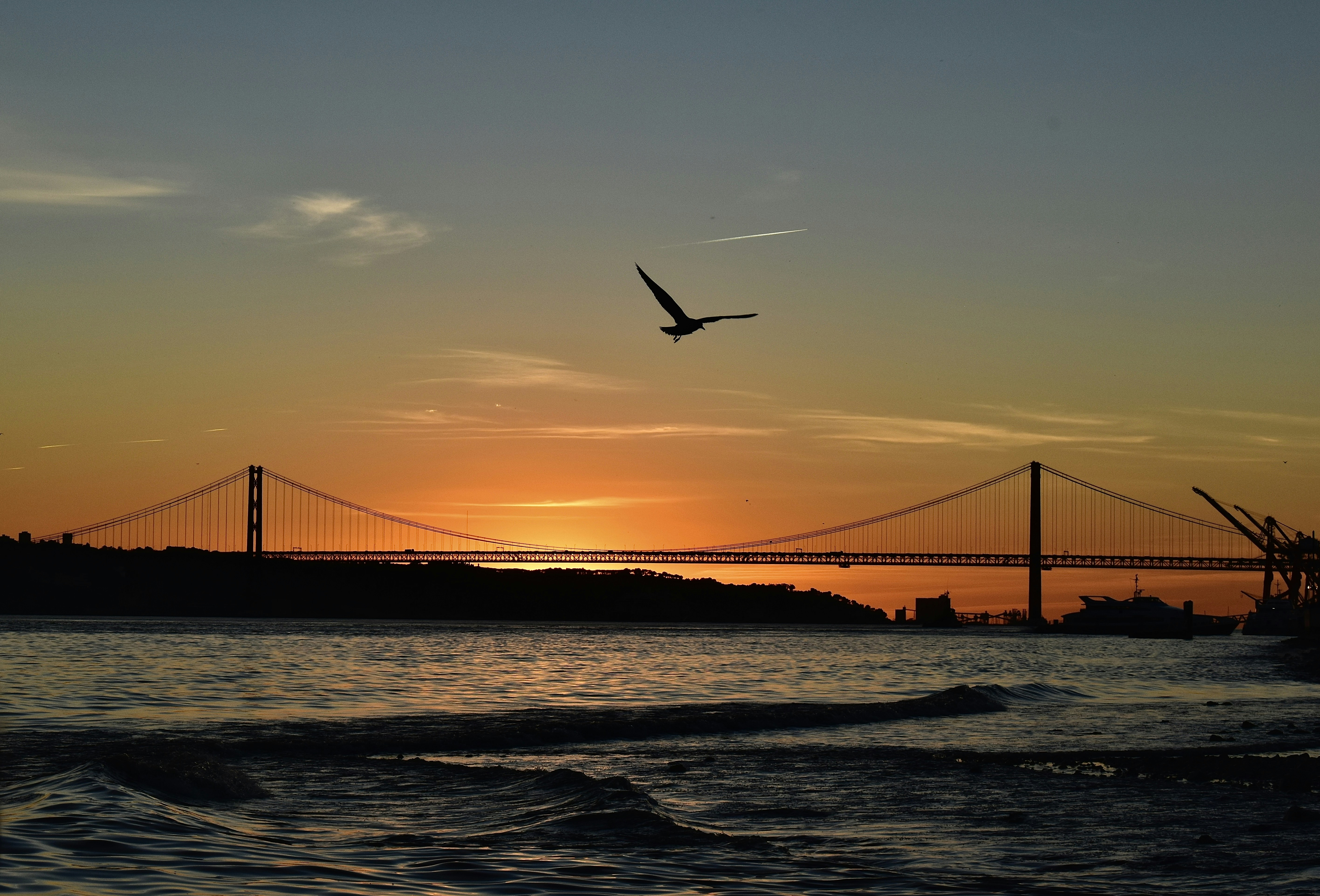 Photo by rubinaajdary