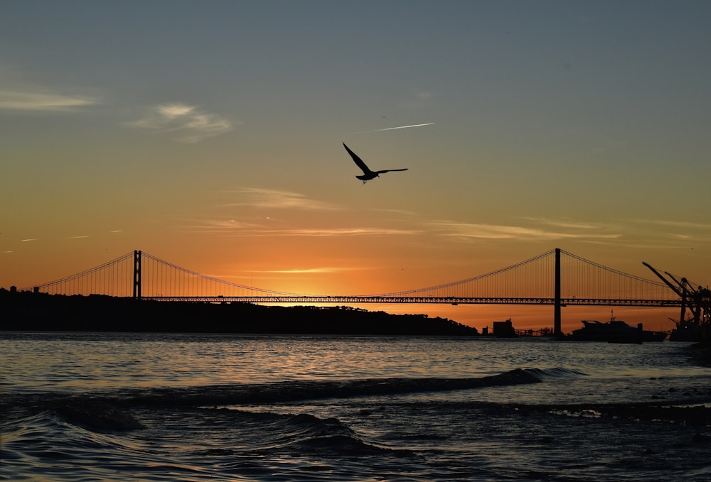 an airplane is flying over the water at sunset