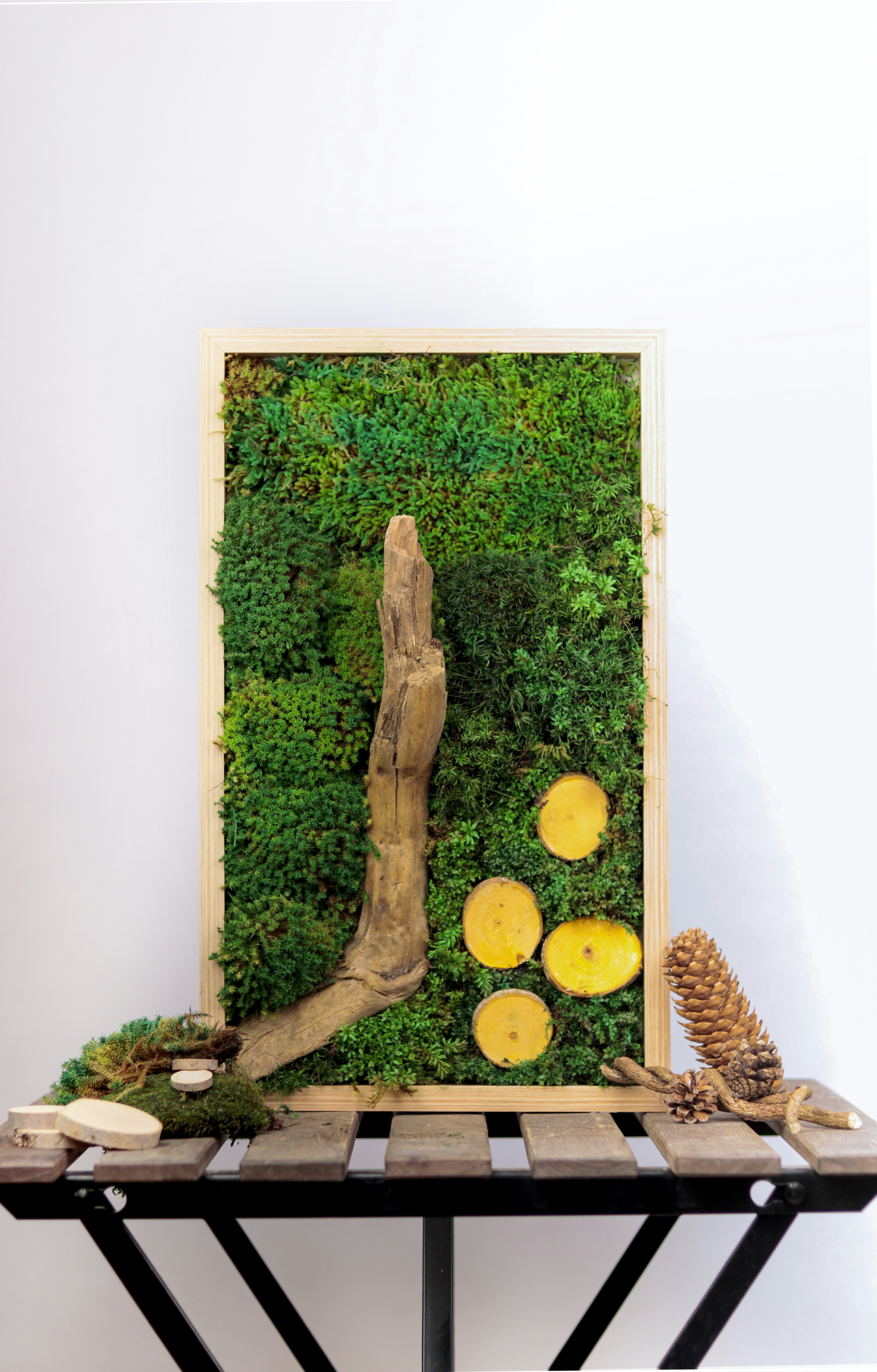 Bulk wholesale preserved moss display.