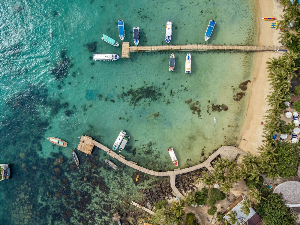 several boats are docked at a pier near the ocean