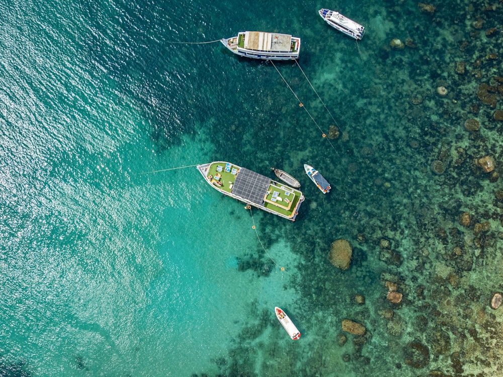 a group of boats floating on top of a body of water