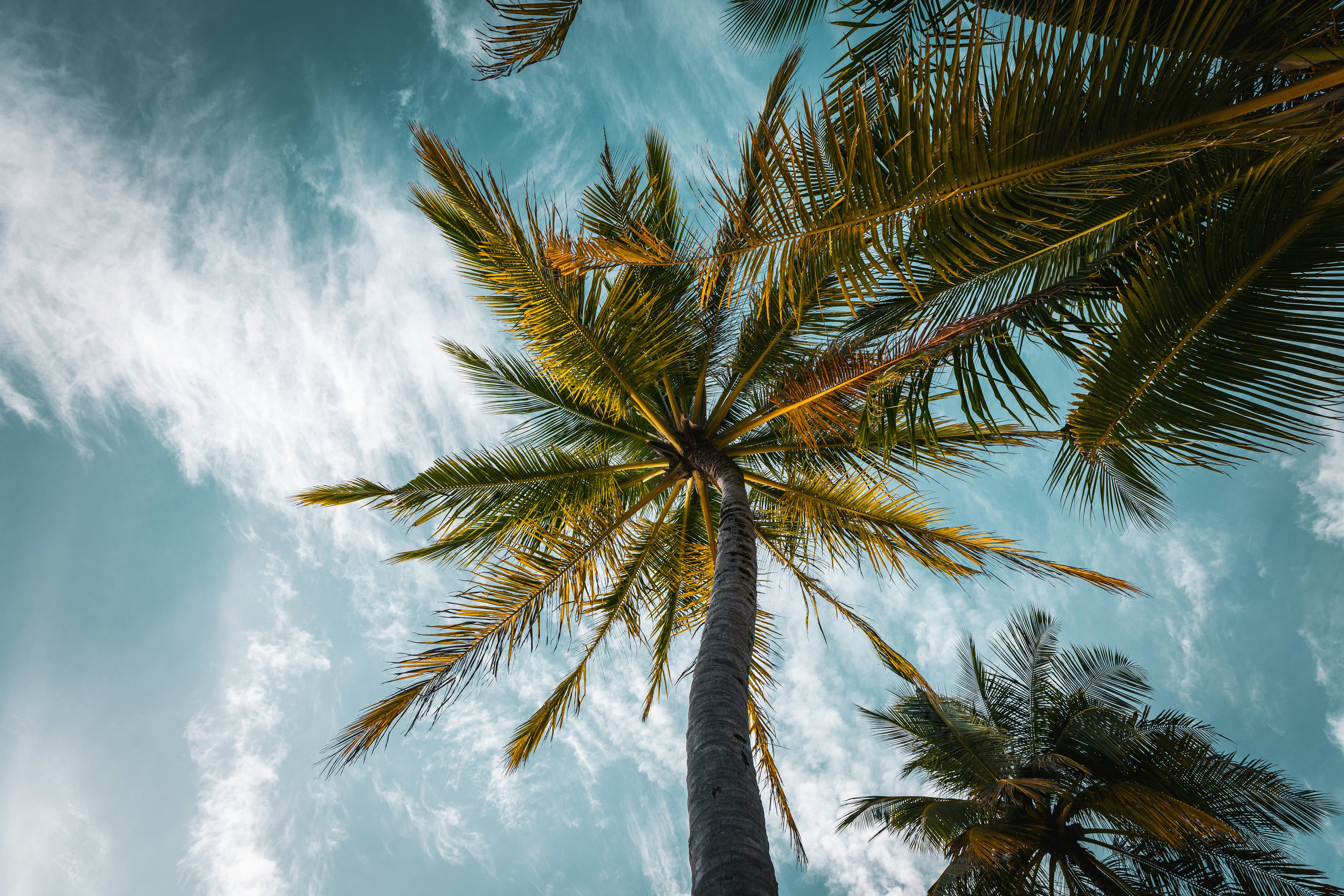 Why Your Jokes Fall Flat (And the Timing Fix)