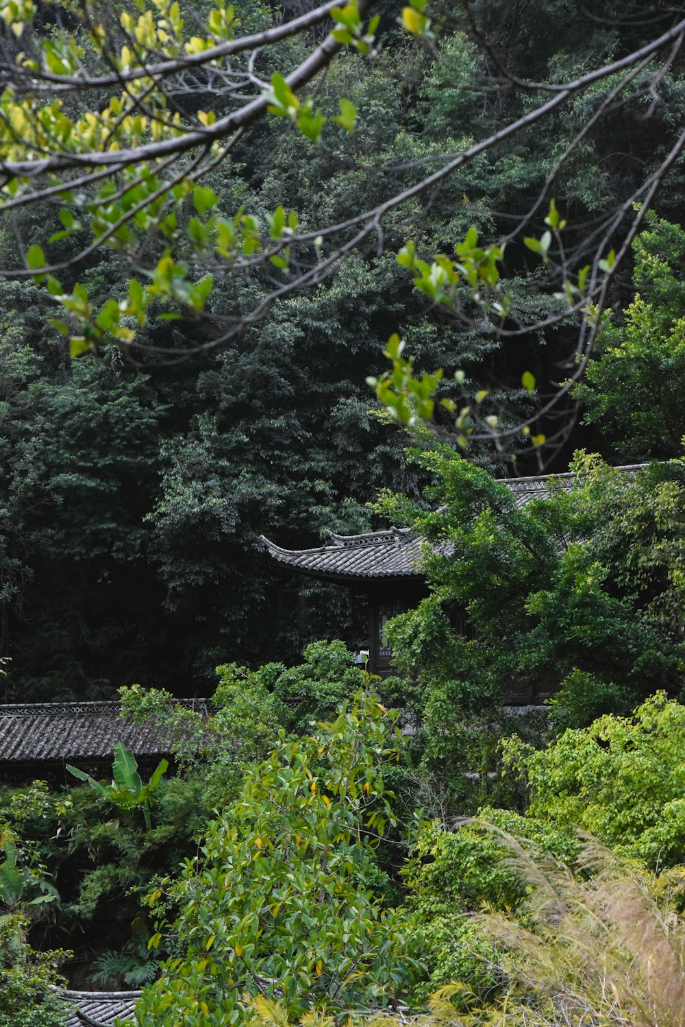 a view of a building in the middle of a forest