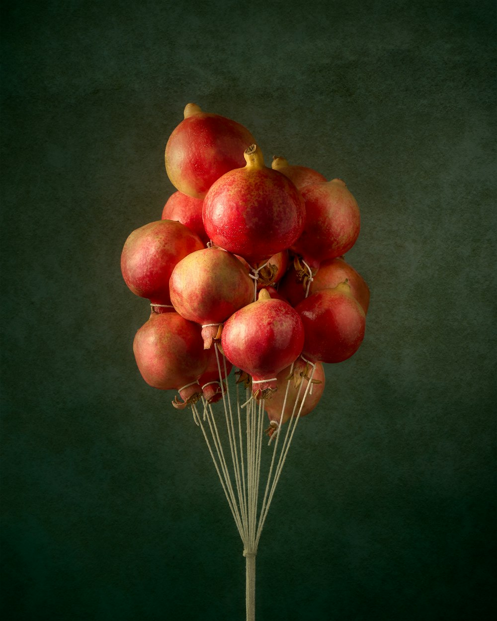 a bunch of pomegranates sitting on top of a stick