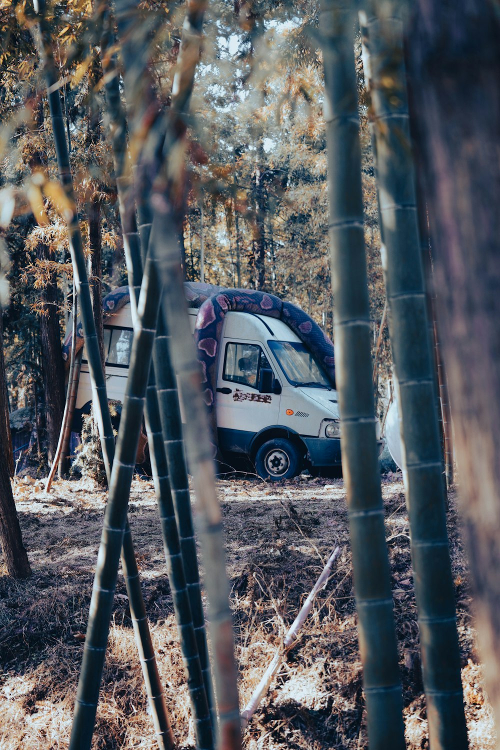 a small van parked in a wooded area
