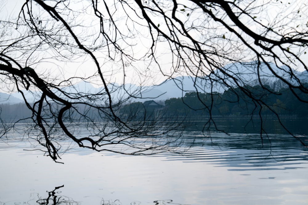 a body of water surrounded by trees and mountains