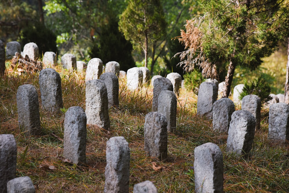 a group of headstones in a field of grass