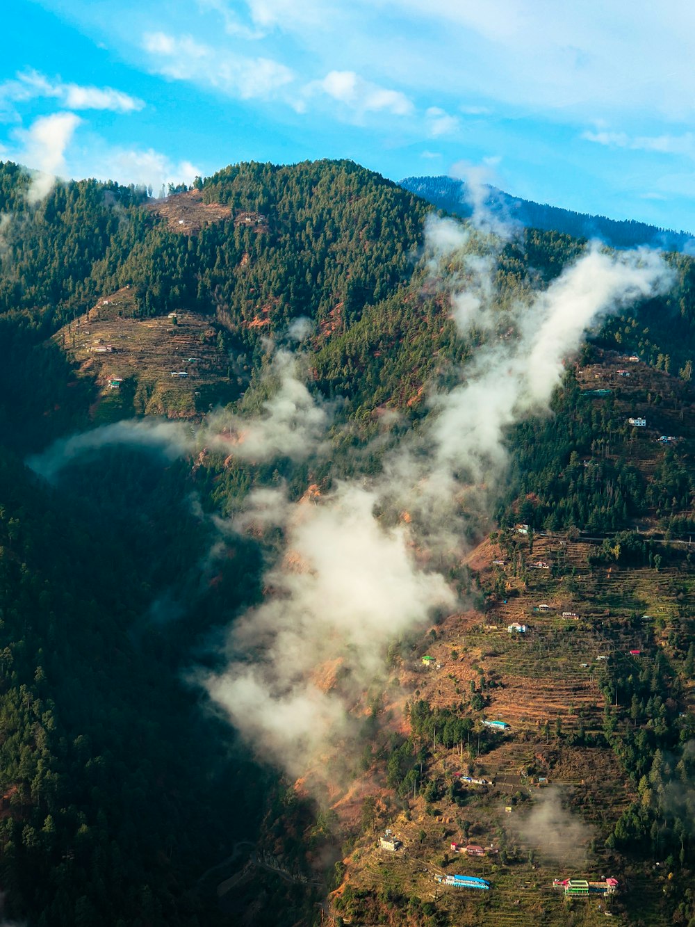 an aerial view of a forested area with a mountain in the background