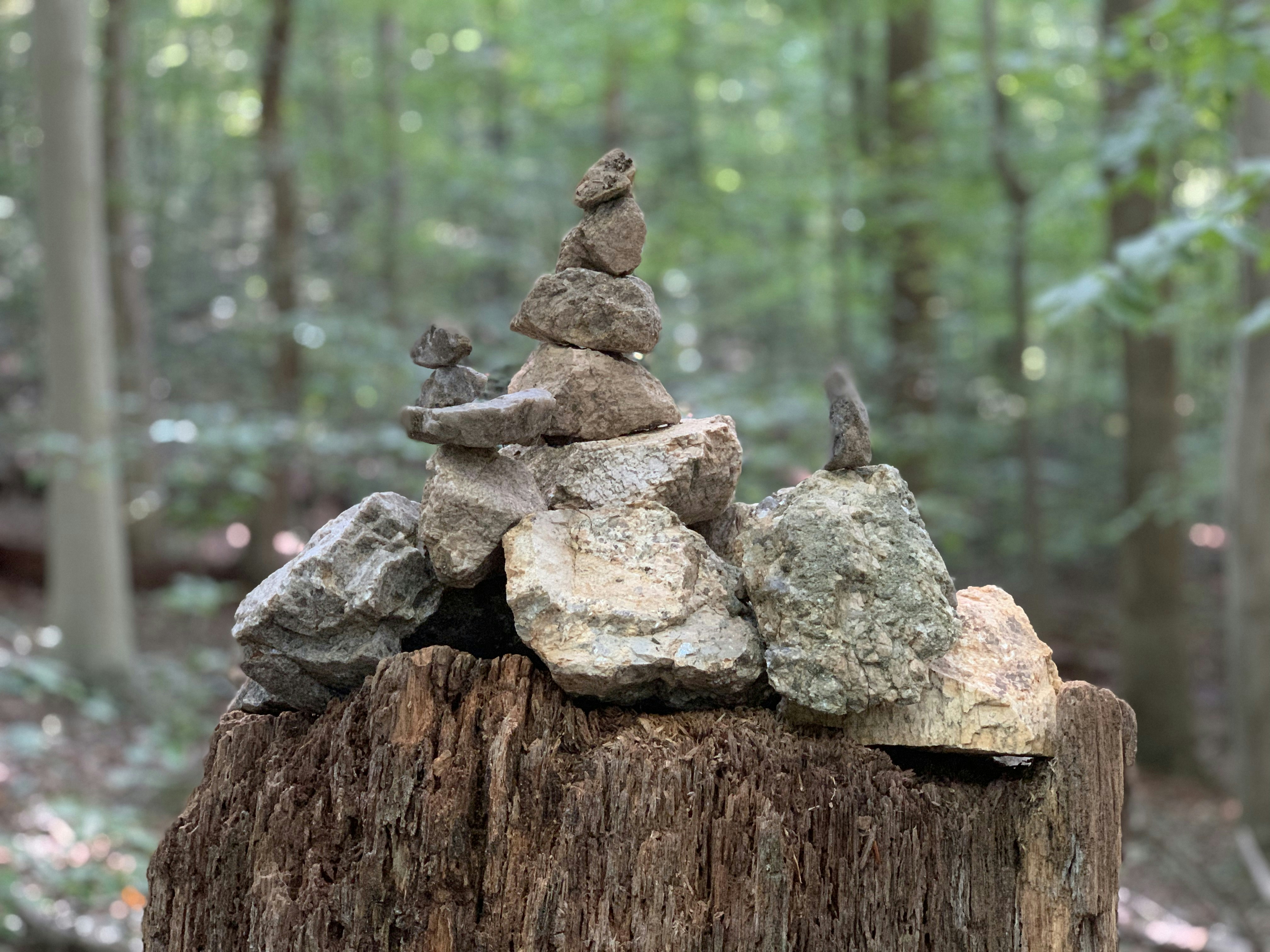 Photo by thestillwild