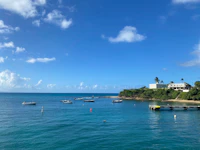 Best Cafes in Vieques That Locals Actually Go To