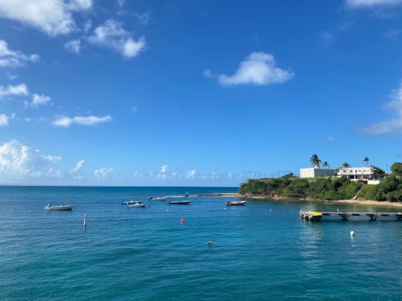 Best Cafes in Vieques That Locals Actually Go To