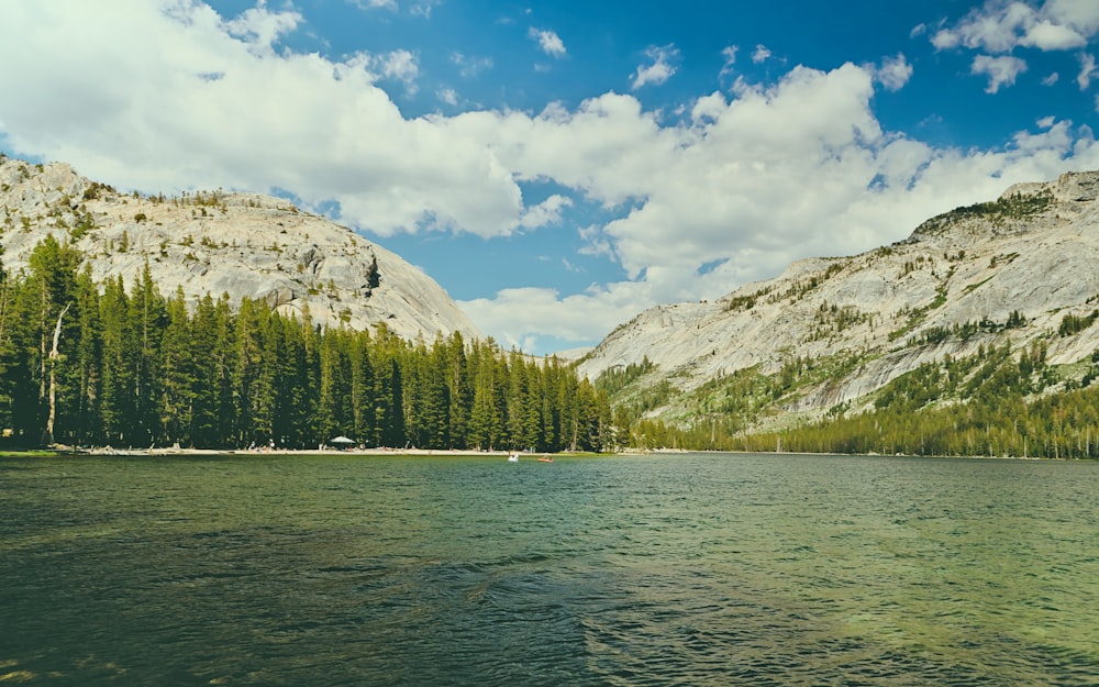 a body of water surrounded by mountains and trees