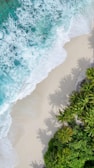 Waves of clear turquoise water gently crash onto a sandy beach. Lush green palm trees cast shadows on the sand, creating a tropical paradise setting.