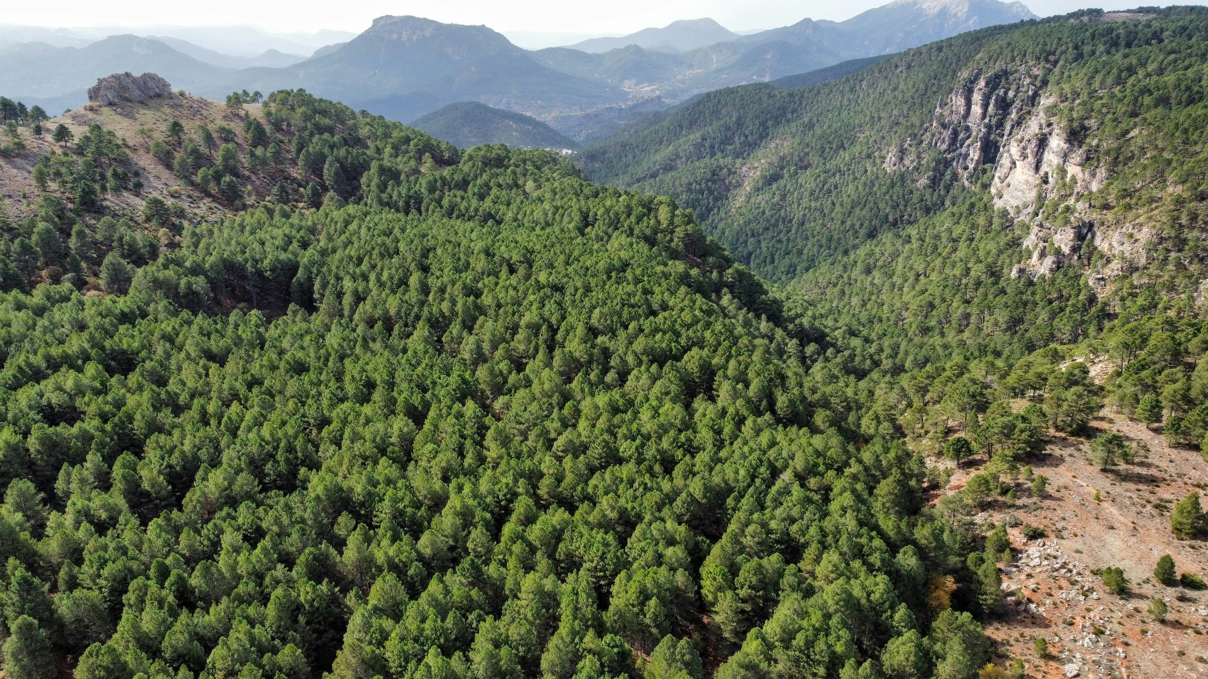 Photo by paudevalencia