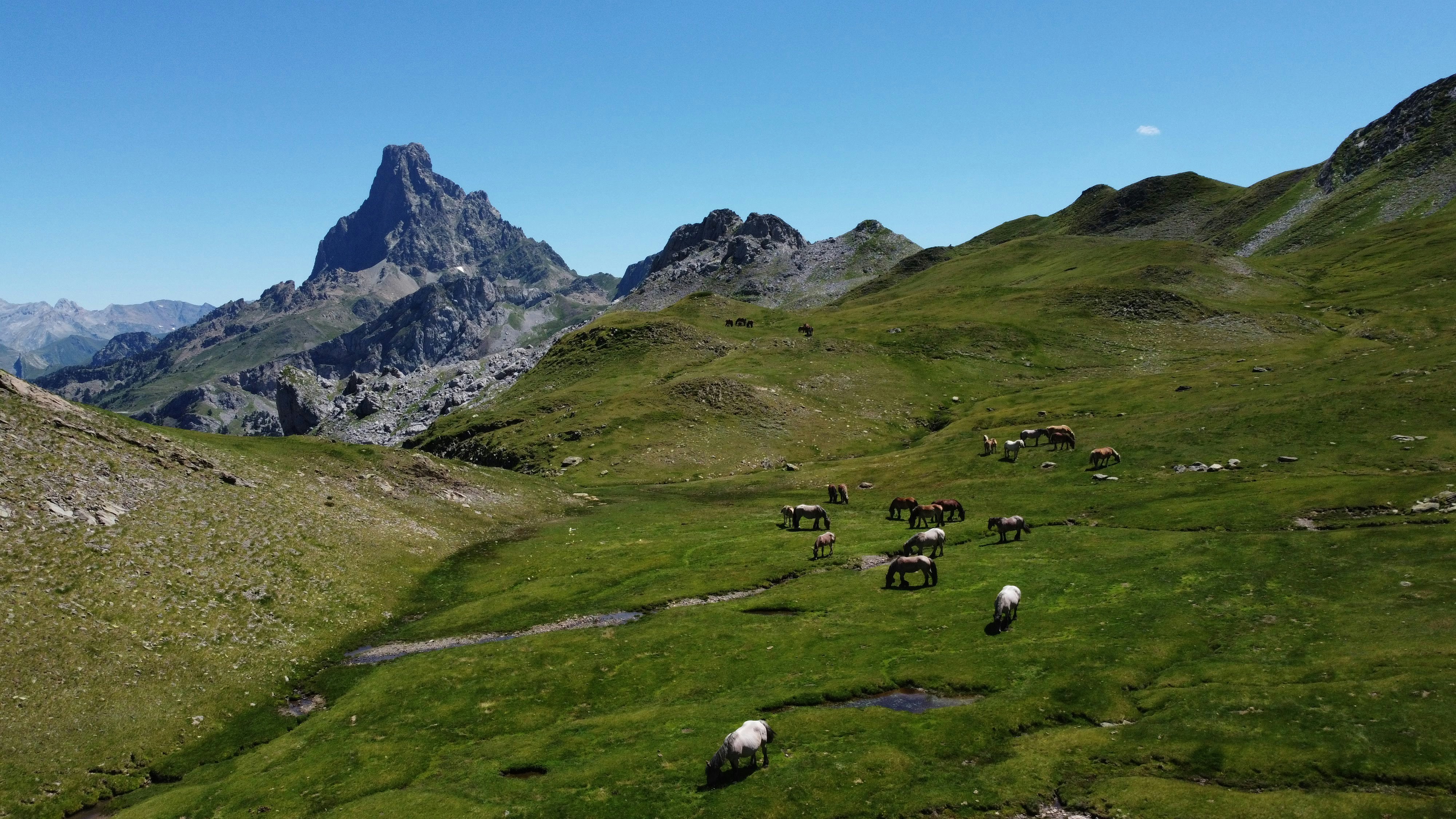 Photo by paudevalencia