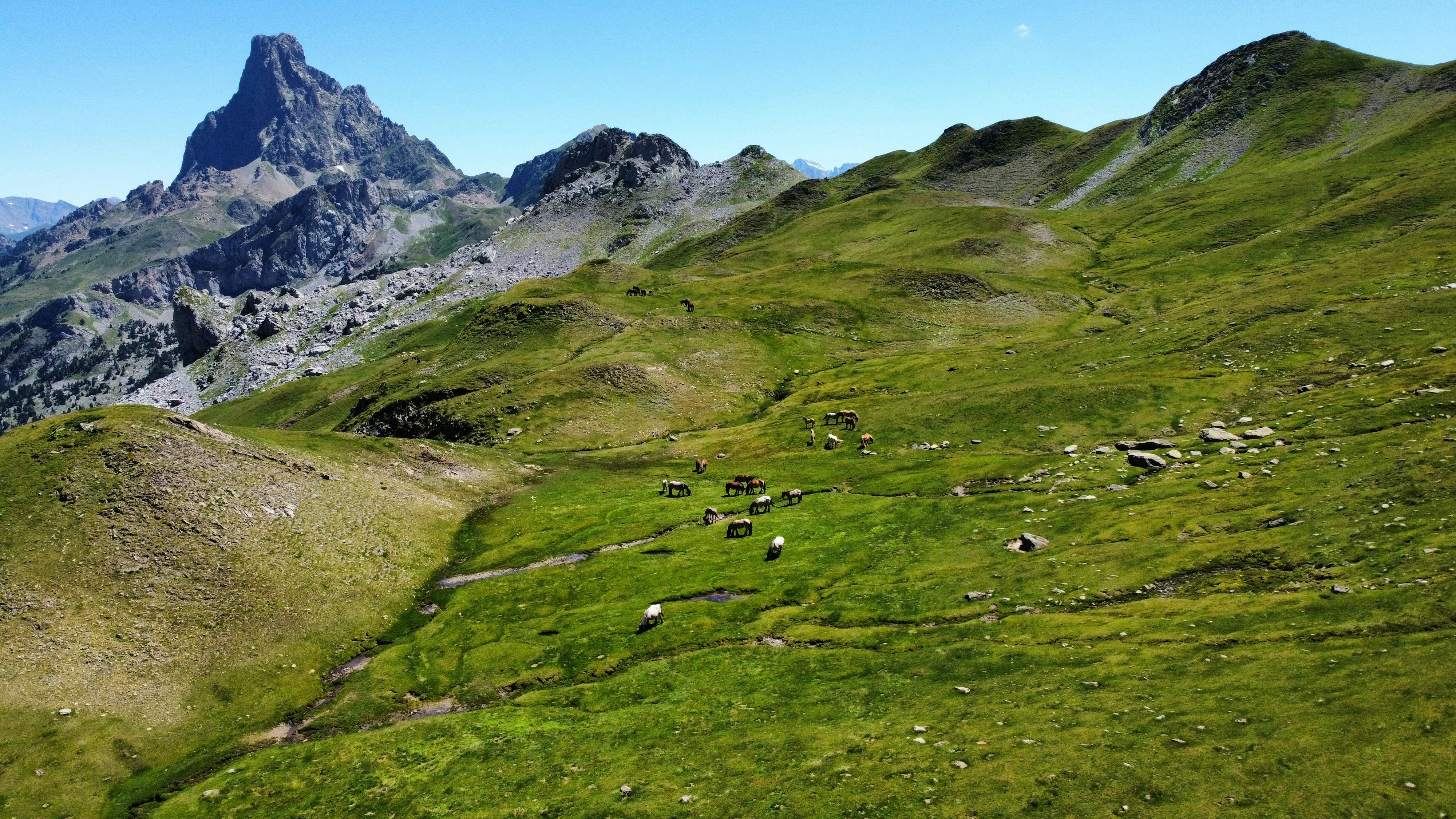 Photo by paudevalencia