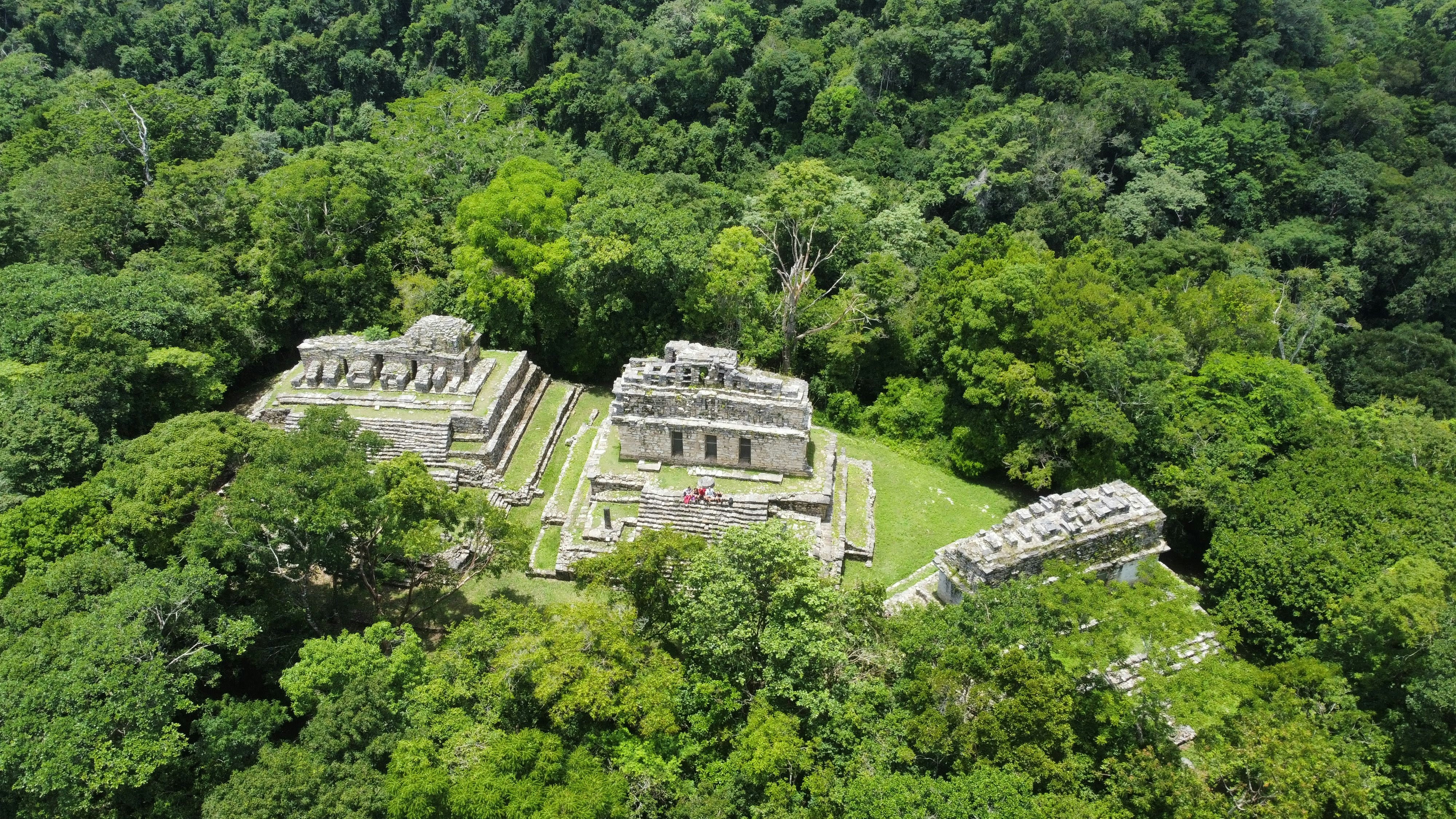 Academic Gatekeepers Silenced Millions of Maya Voices for Centuries