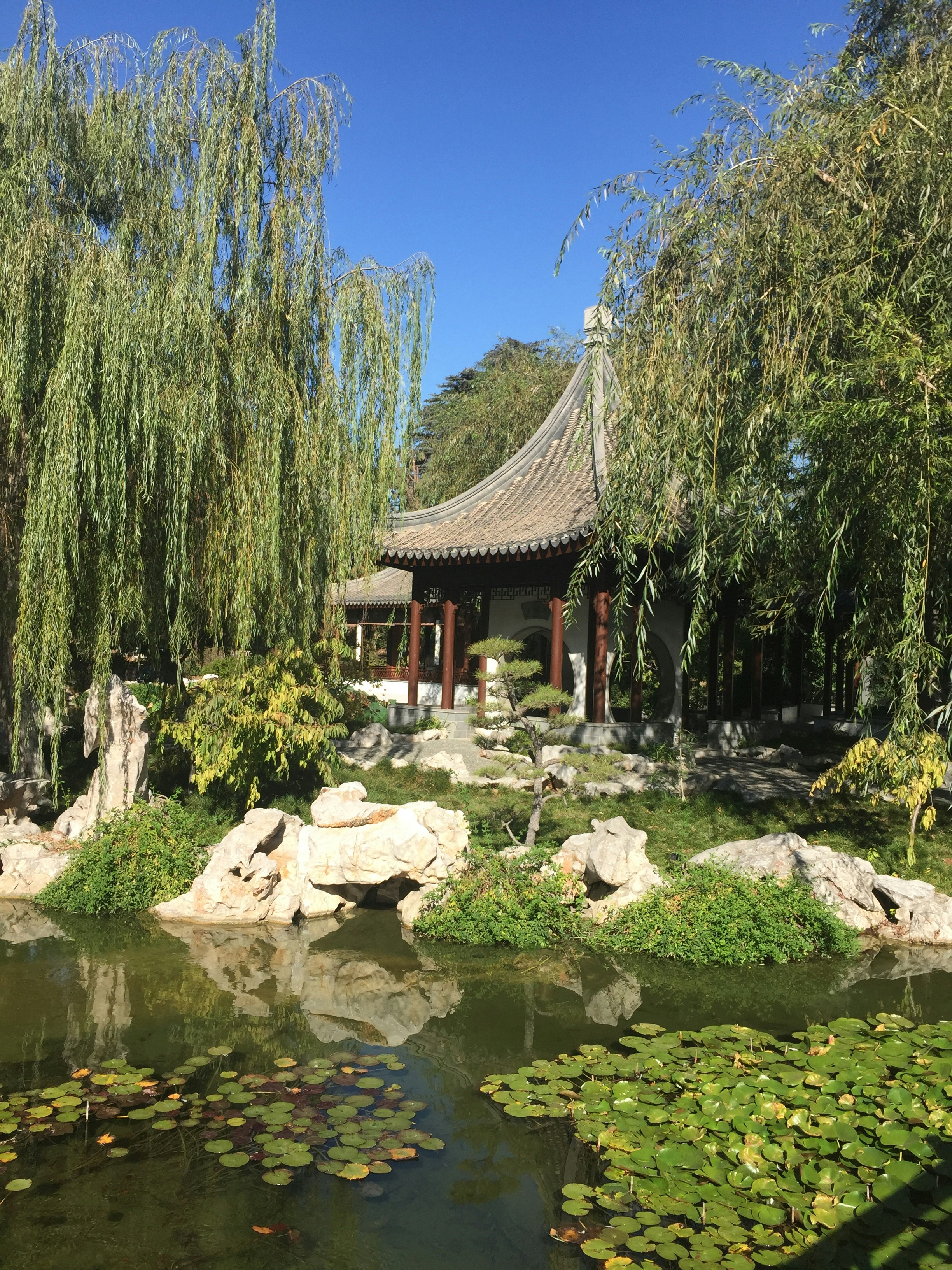 Photo by andrewshumaker